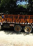 Tiger Painted Tour Truck